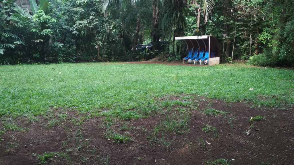 main bola di lapangan di kampung 99 pepohonan